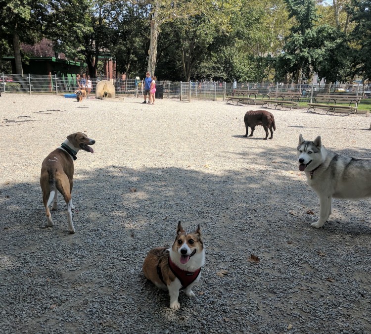 Church Square Park Dog park (Hoboken,&nbspNJ)